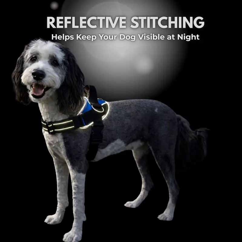 ShawnCo | Essential Dog Harness with 3 Leash Clips – Reflective, Adjustable & Padded Vest for Easy Walks and Training (Small to Large Dogs)